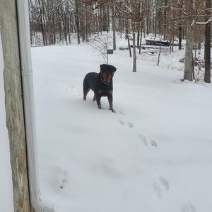 Meet your Posher, Lois